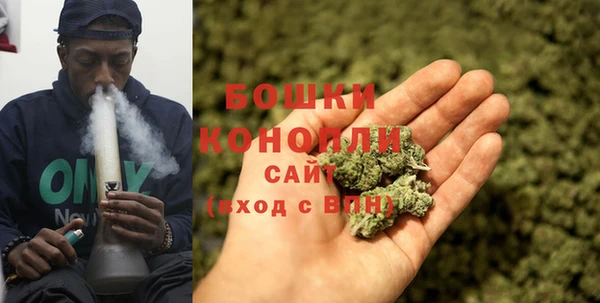Альфа ПВП Няндома