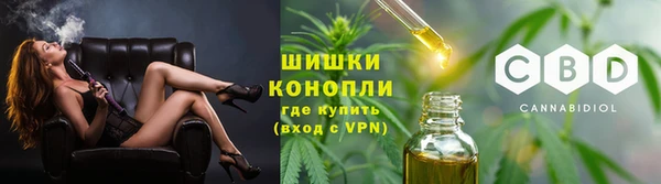 молекула духа Алзамай