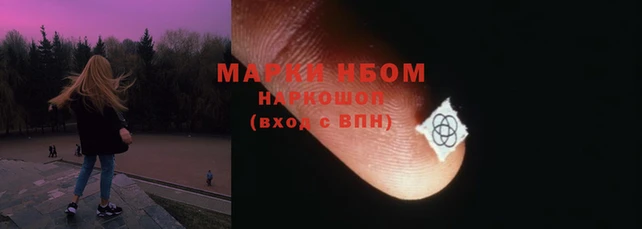 гашик Алексин