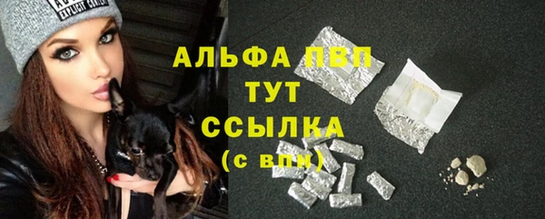 Альфа ПВП Няндома