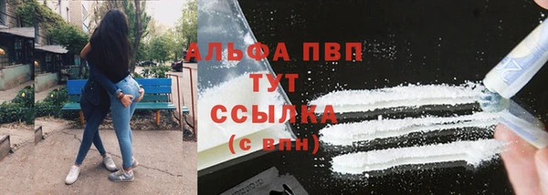 Альфа ПВП Няндома